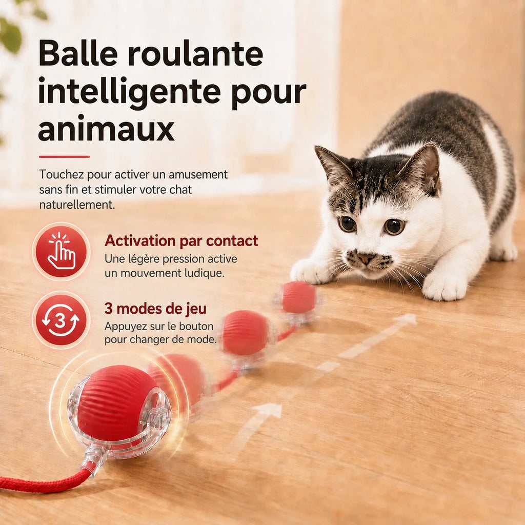 Balle Interactive Intelligente pour Chat — Roulante & Rechargeable