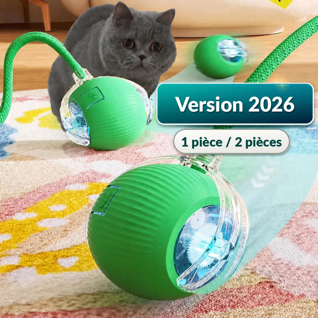 Balle Interactive Intelligente pour Chat — Roulante & Rechargeable
