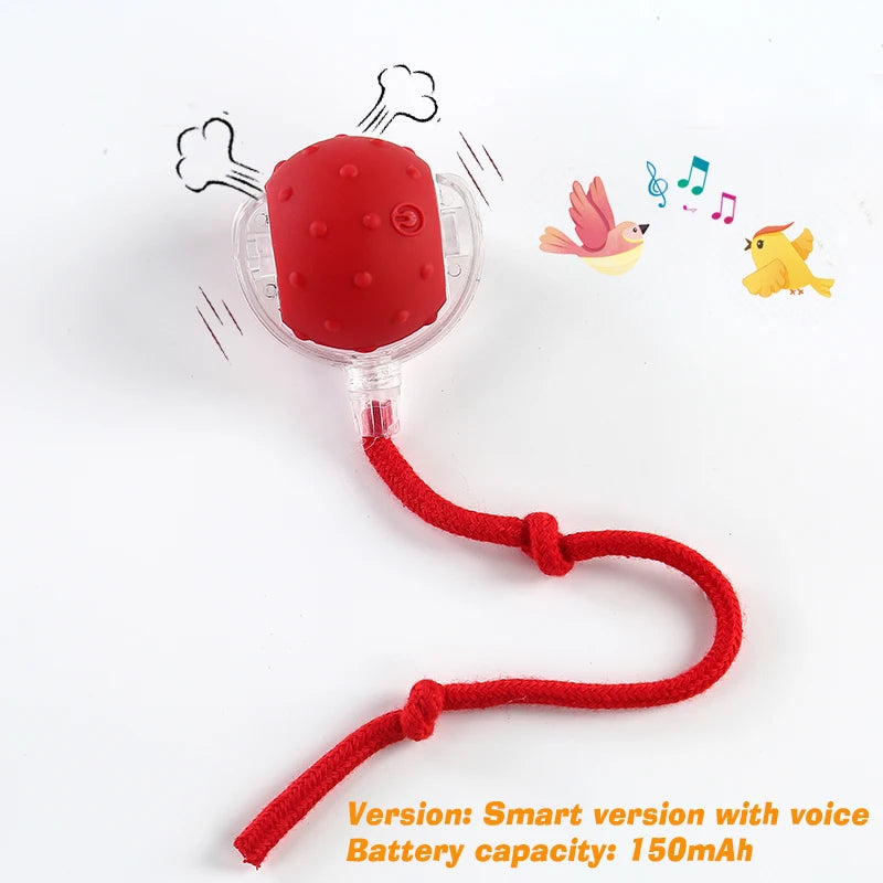 Balle Interactive Intelligente pour Chat — Roulante & Rechargeable
