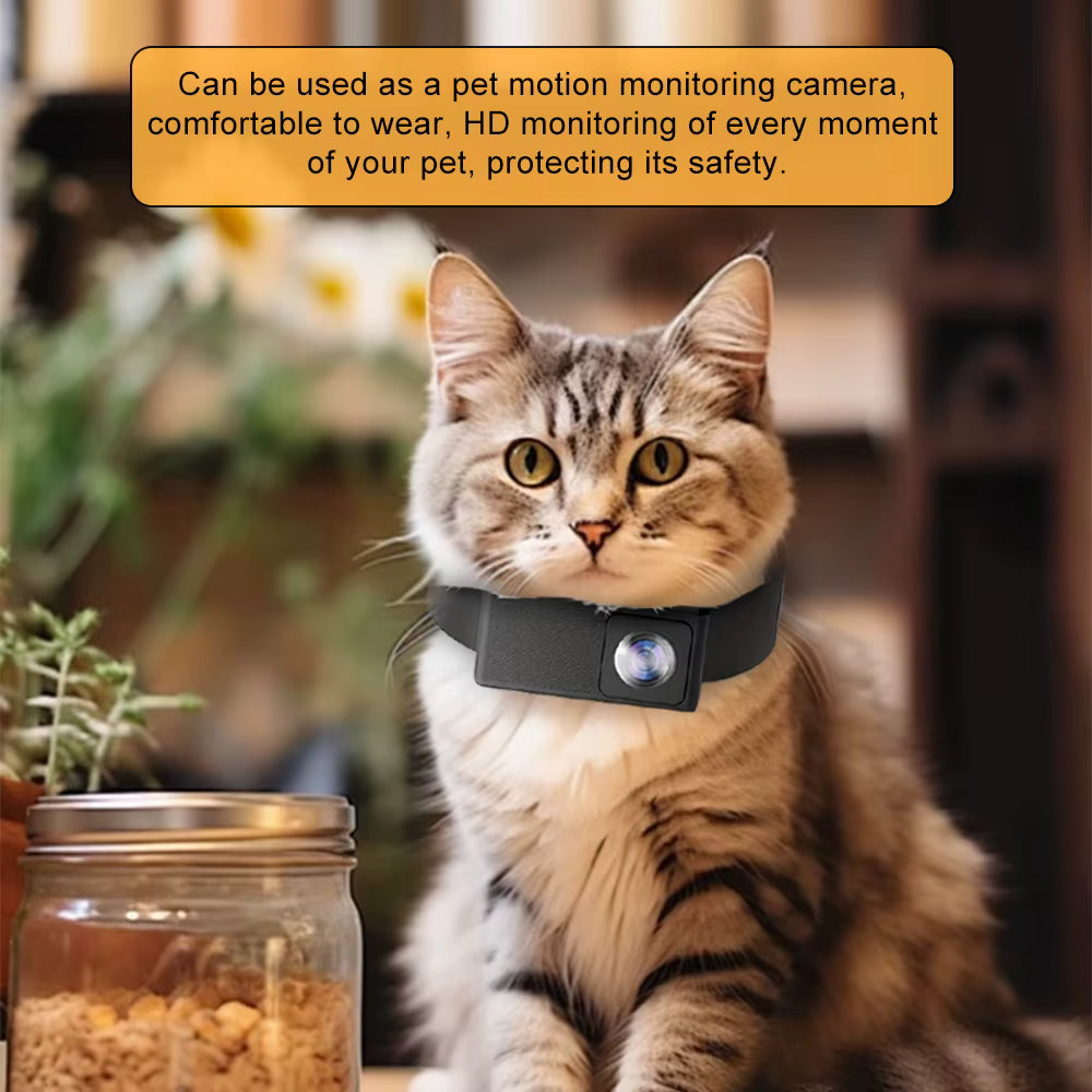 Collier Connecté avec Micro-Caméra pour Chien & Chat